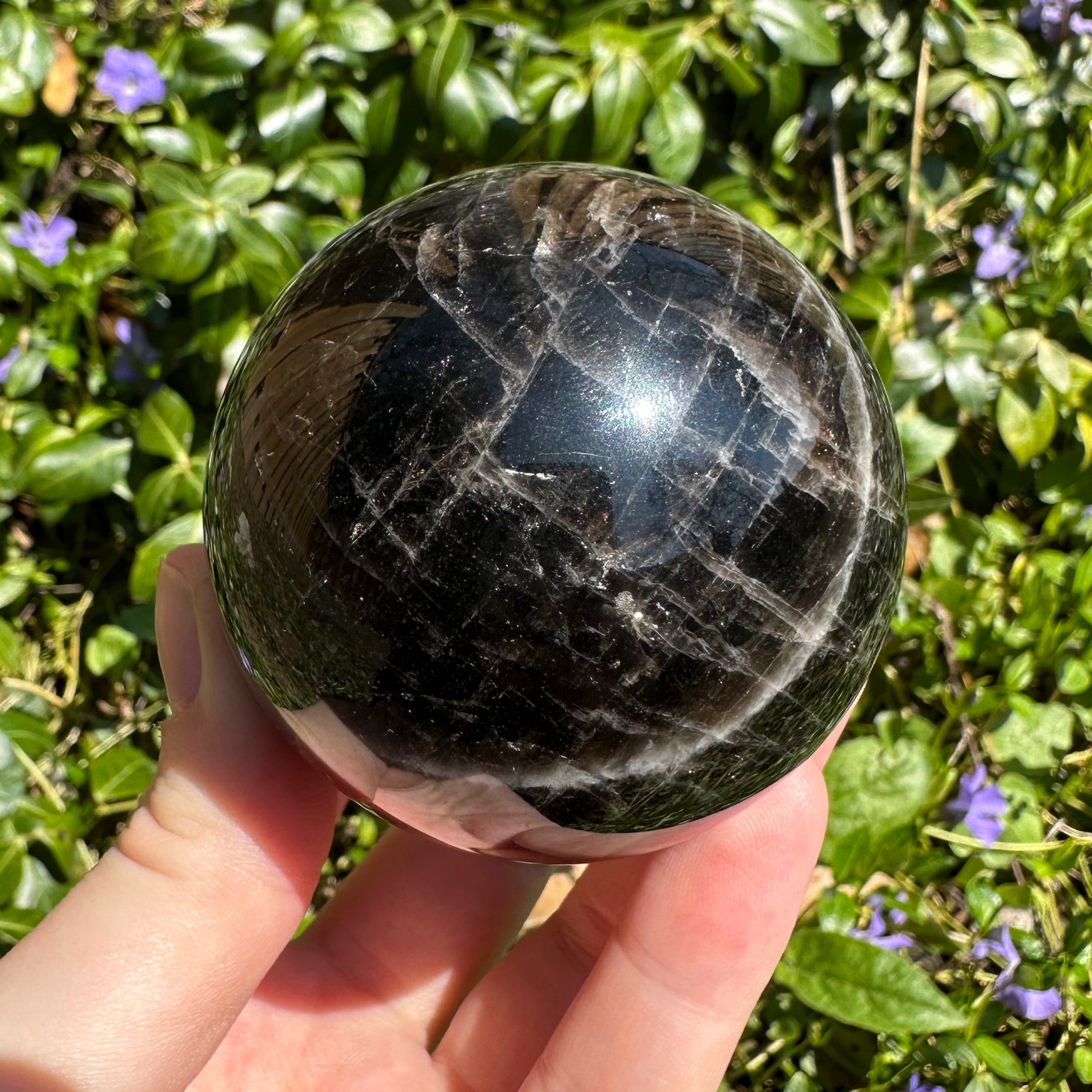 Black Rose Quartz Cloud Crystal Collective